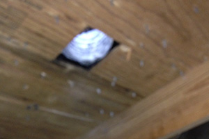 bat attic entry hole