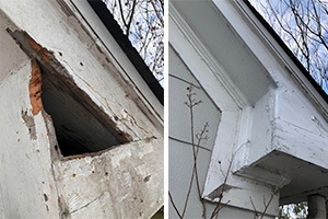 Damaged squirrel entry hole repaired, before and after photo