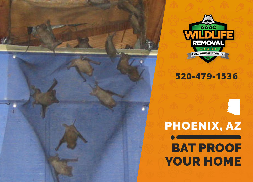 Bat Proof Your Home