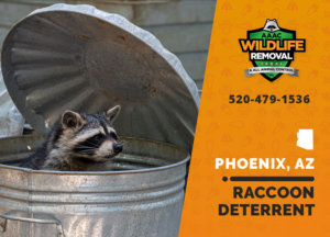 Deter your Raccoons with a strong control program