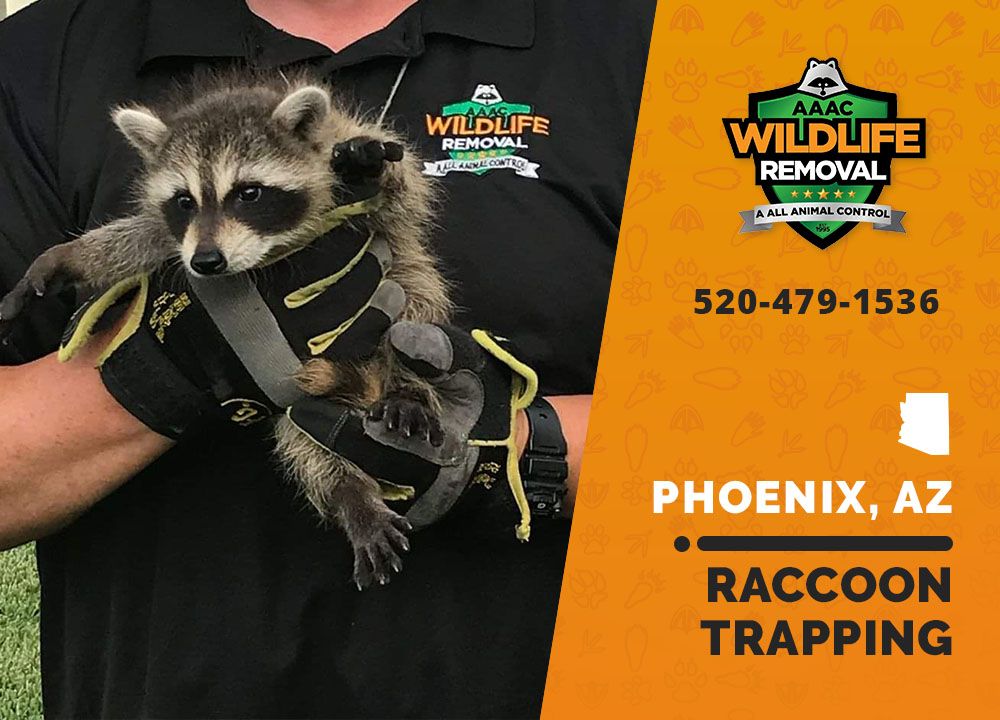Raccoon Trapping
