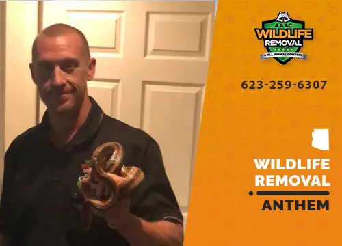 Anthem Wildlife Removal professional removing pest animal