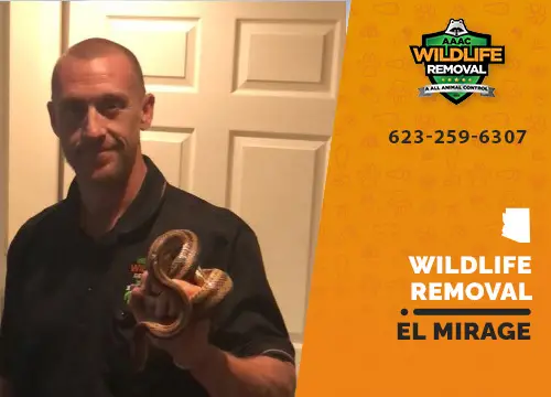 El Mirage Wildlife Removal professional removing pest animal