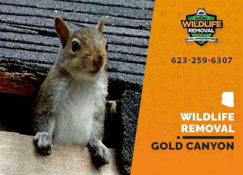 Gold Canyon Wildlife Removal professional removing pest animal