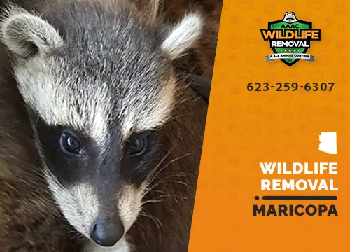 Maricopa Wildlife Removal professional removing pest animal