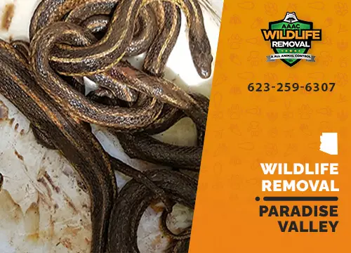Paradise Valley Wildlife Removal professional removing pest animal
