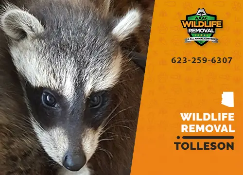Tolleson Wildlife Removal professional removing pest animal