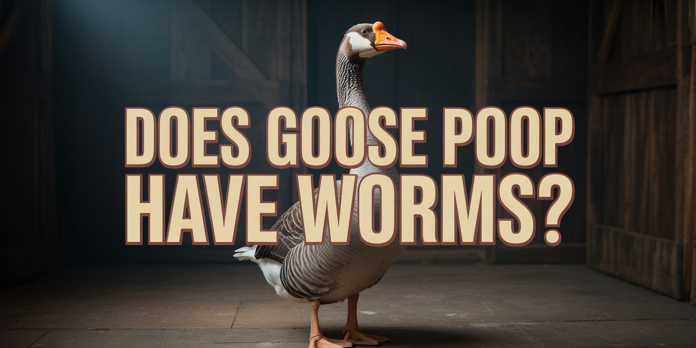 Does Goose Poop Have Worms?