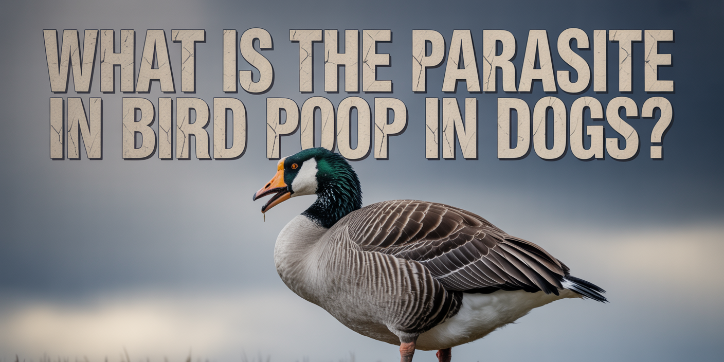 What Is the Parasite in Bird Poop in Dogs?