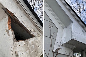 Damage repair | AAAC Wildlife Removal of Phoenix